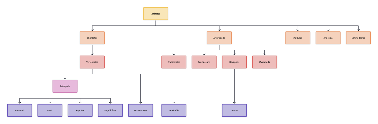 mac_diagrams_flow_org_arch