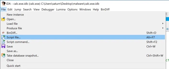 ida_script_file_win