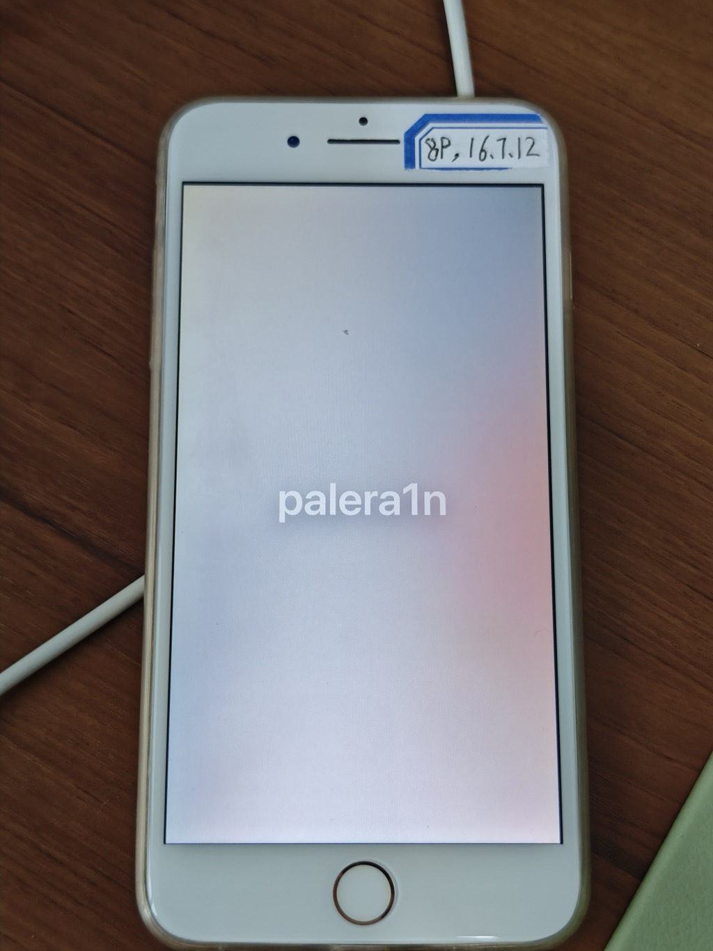 palera1n_boot_show_logo