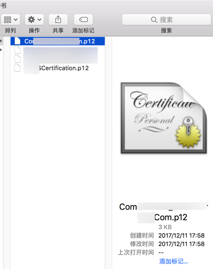 已导出的p12文件