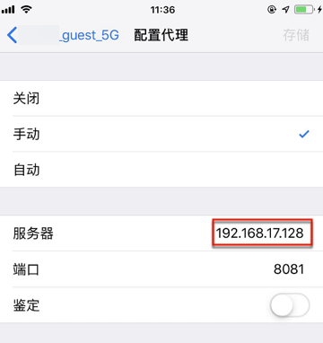 iphone_macos_ip_proxy