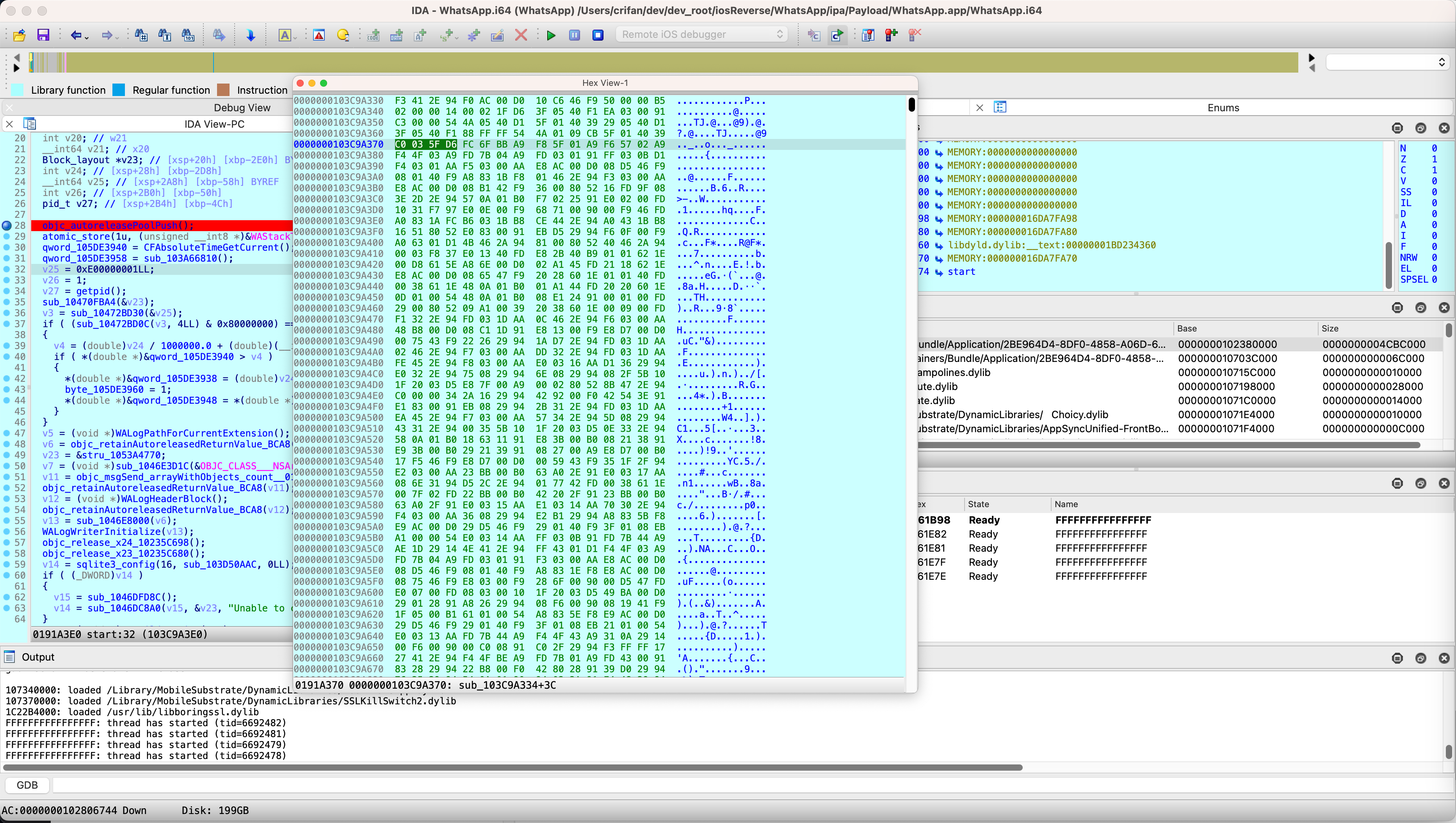 ida_debug_hex_view