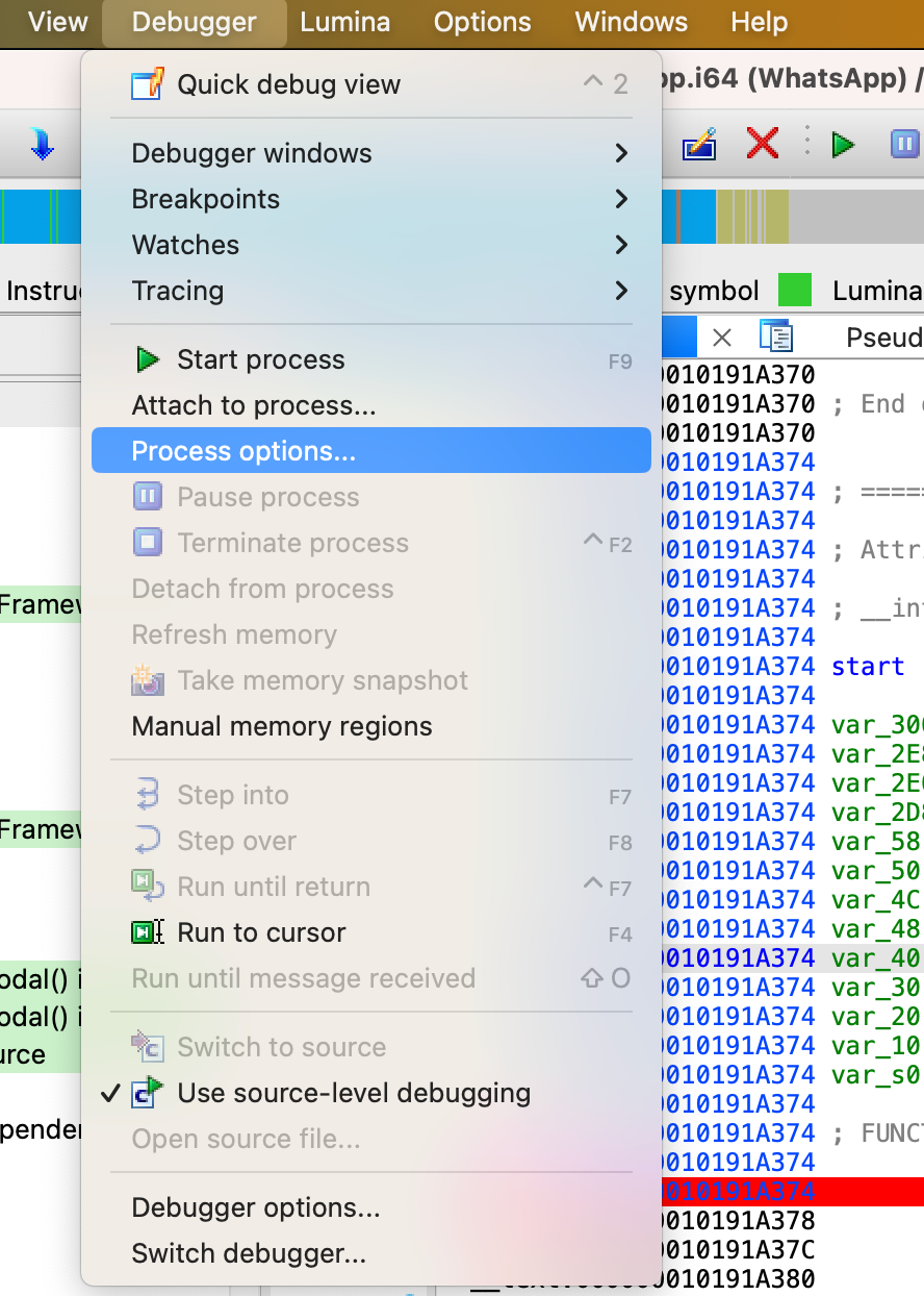 ida_debugger_process_options